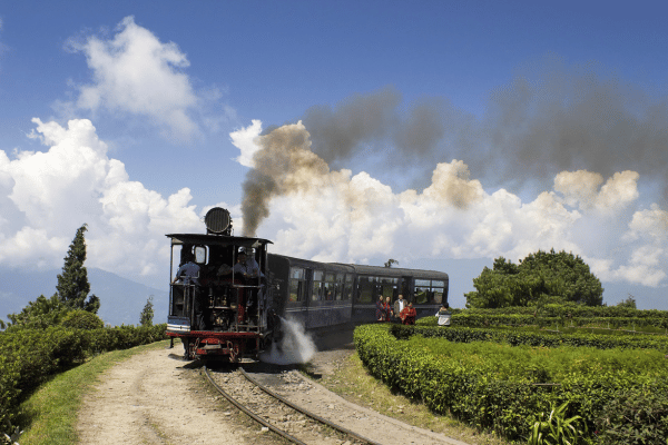 Darjeeling Delight – 2 Nights / 3 Days Tour Package - Copy